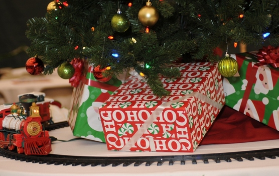 2011 Employee Family Holiday Party