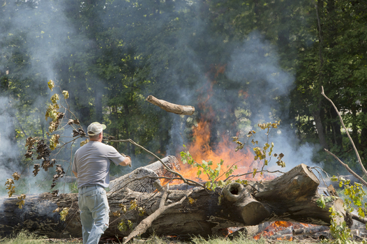 Burning Brush at Camp Friend