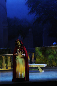 "The Marriage of Figaro" - 2010