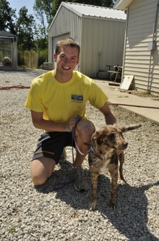 DePauw Community Service at  Putnam County Humane Society