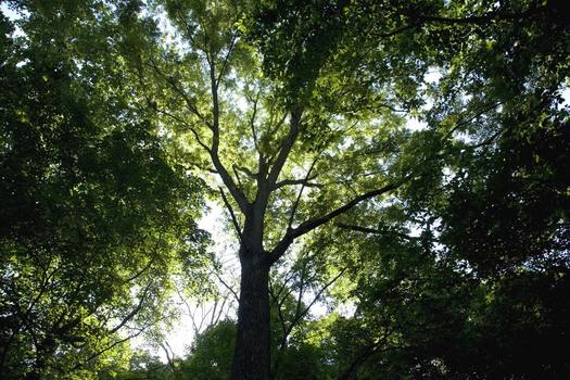 Photography by DePauw professor of photography Cynthia O'Dell