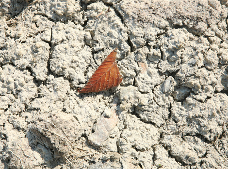 Photography by Cynthia O'Dell