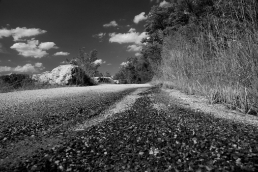 Photography by Cynthia O'Dell