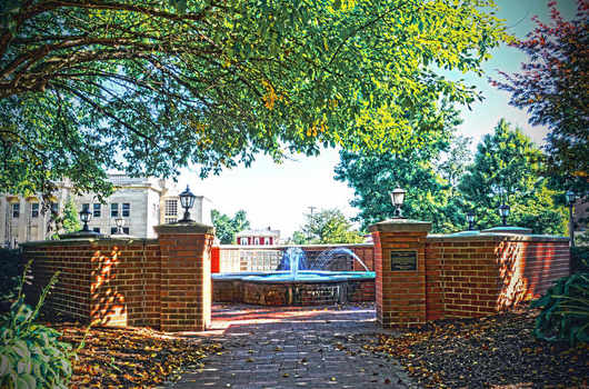 Lifetime members of the Washington C. DePauw Society are recognized with a plaque on our donor fountain and plaza.