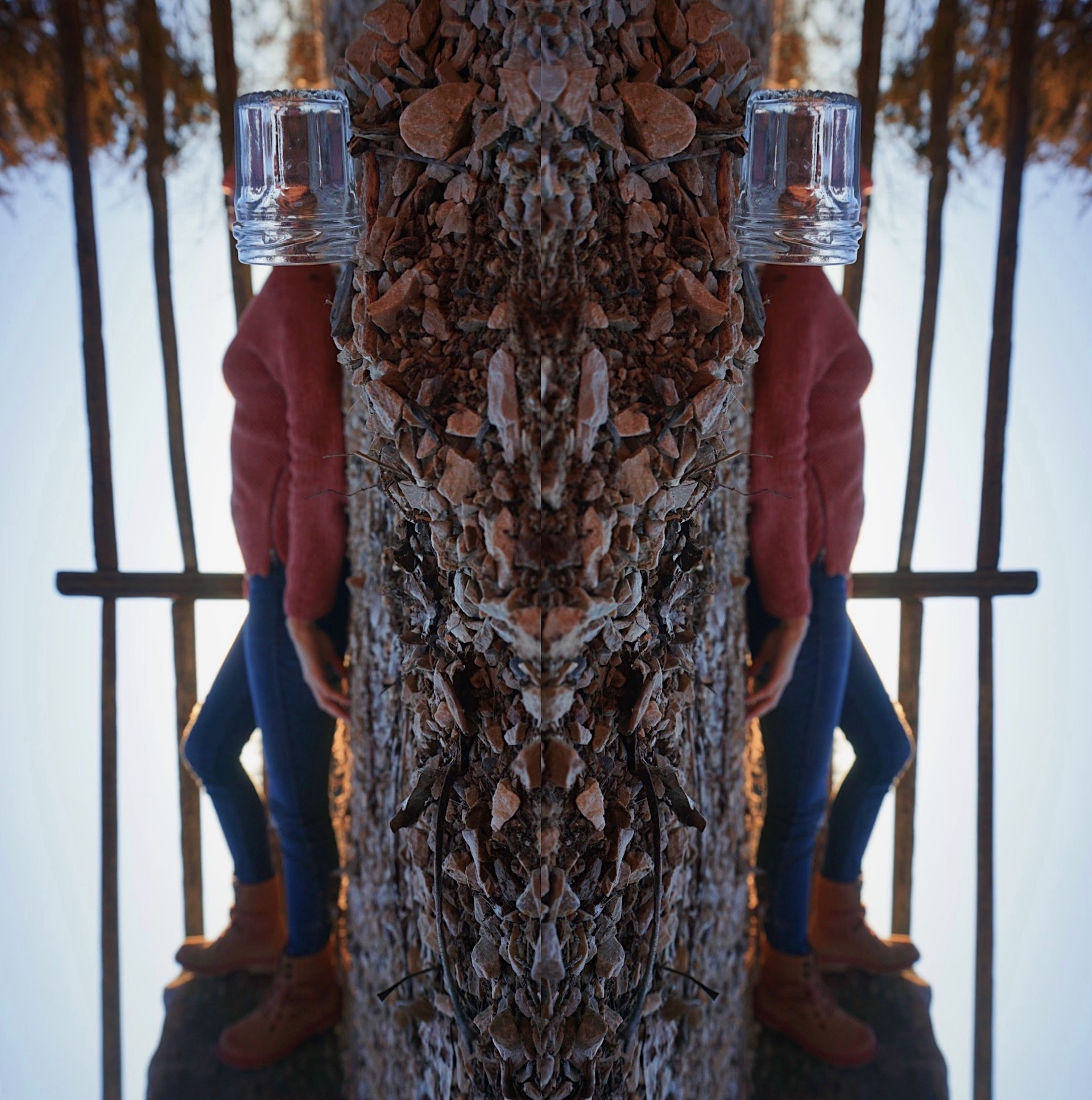 Split view of a tree with a person's figure in profile on a snowy background