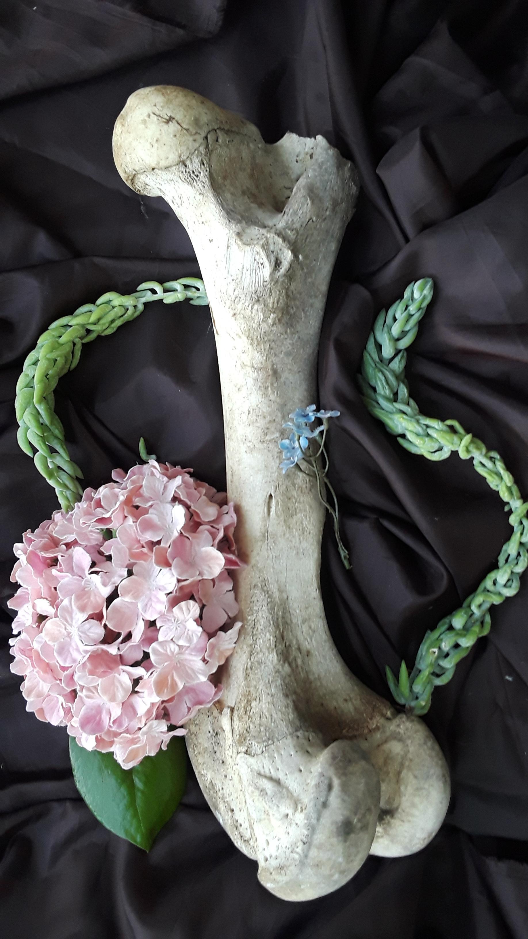 Still life with a bone and flowers on black fabric