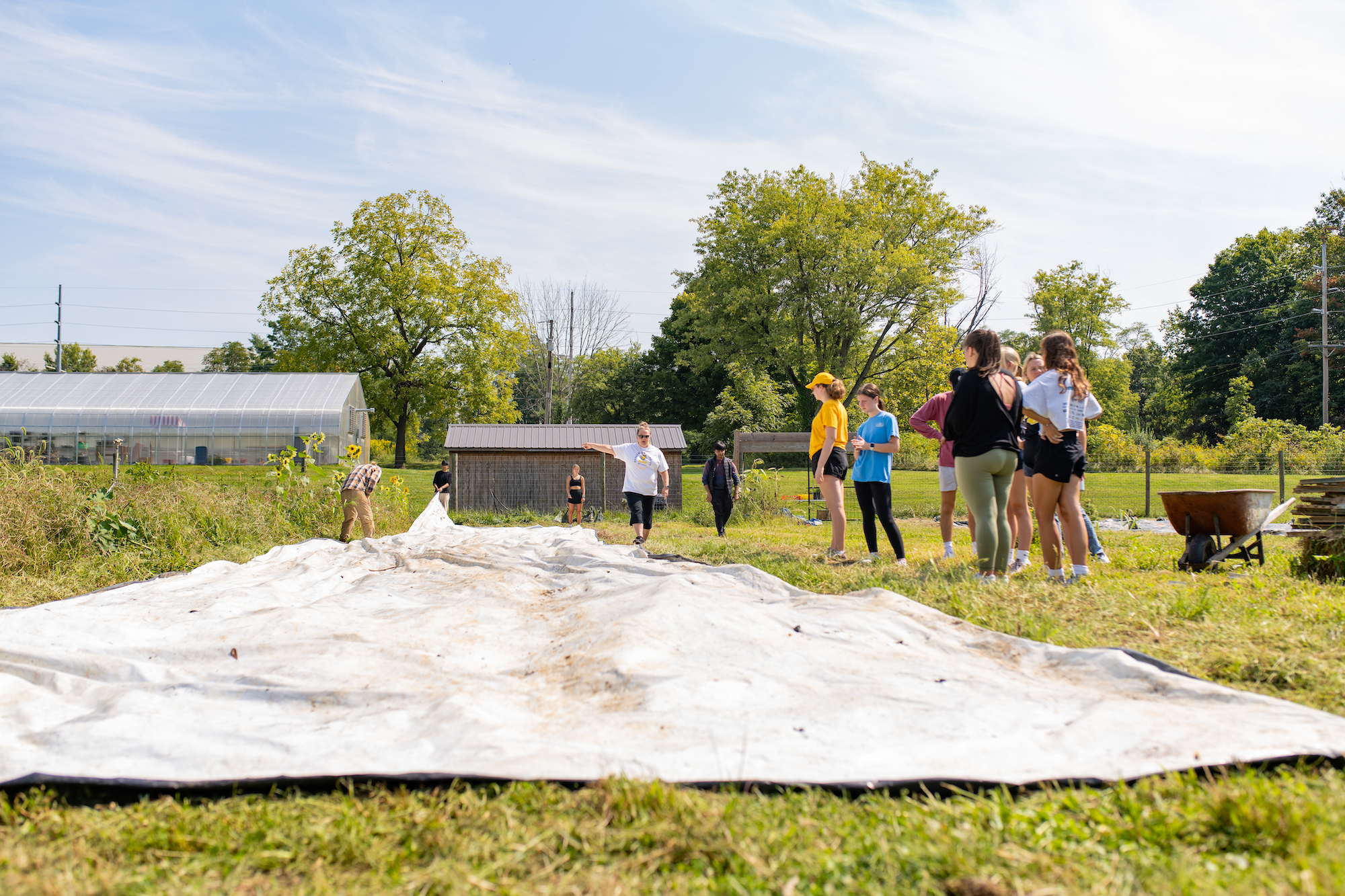 pulling tarp