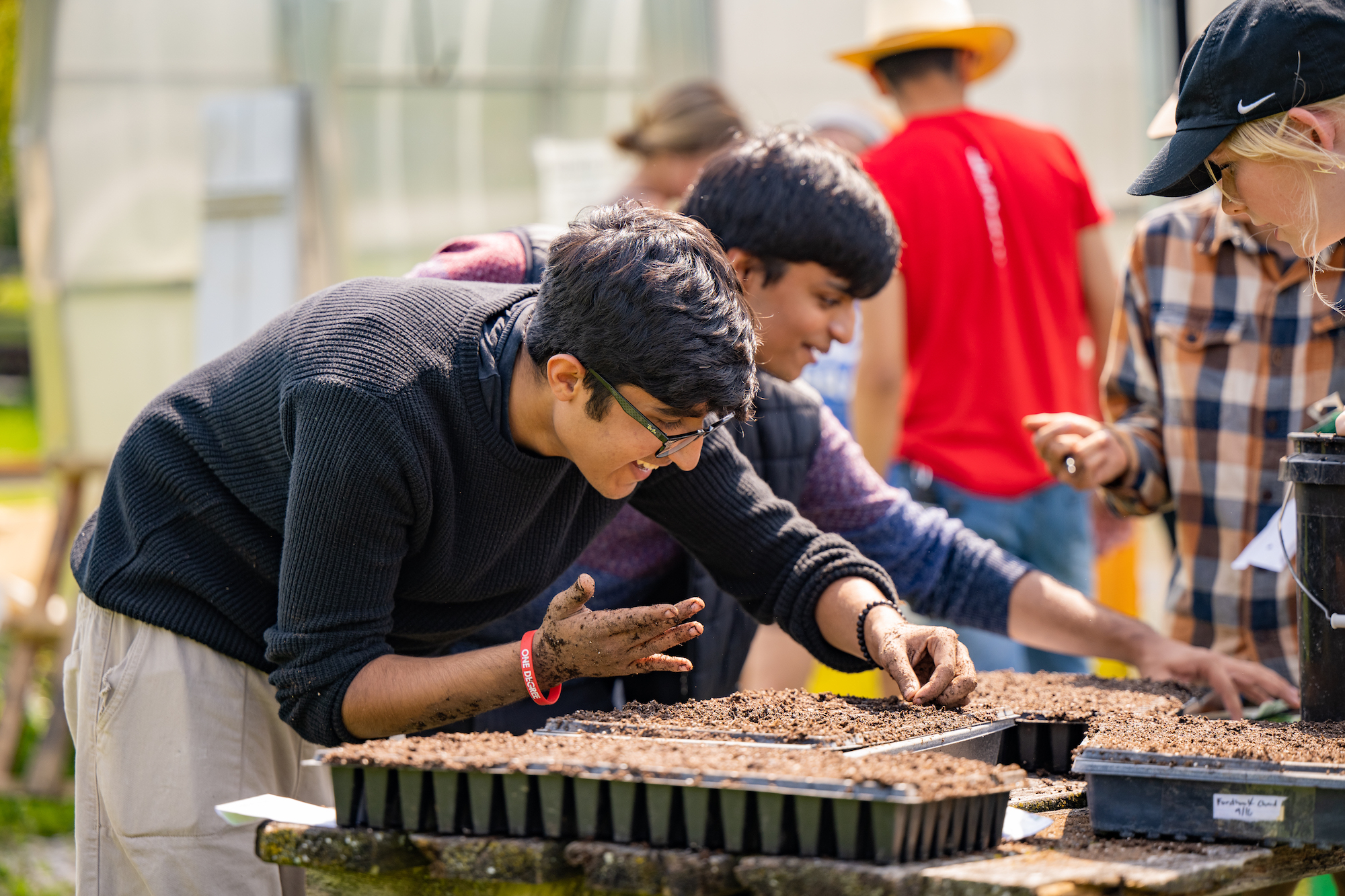 students with hands in dirt