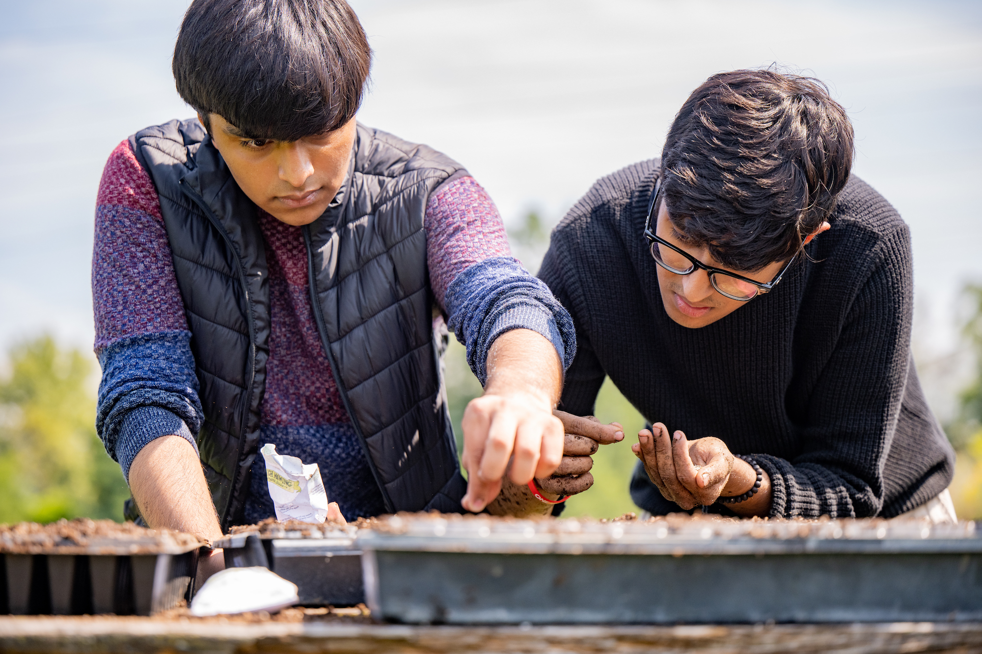 placing tiny seeds in soil