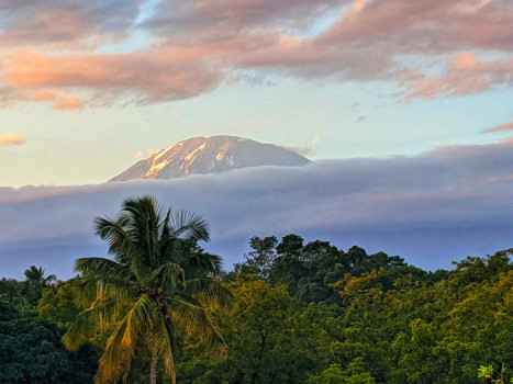 kilimanjaro