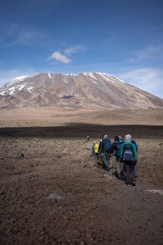 kilimanjaro