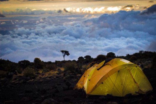 kilimanjaro