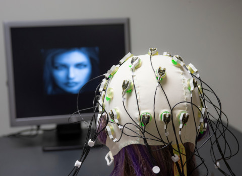 Student aiding in Neuroscience research 