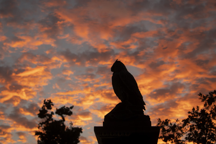 Owl statue against a colorful sunset sky