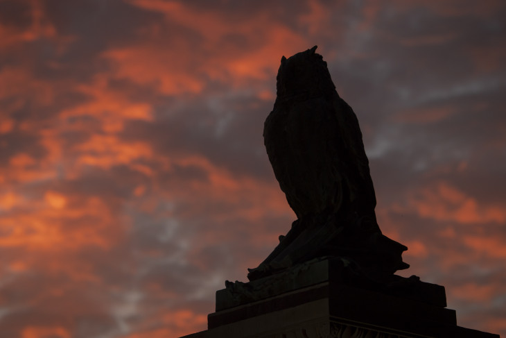 Sceritt Owl statue against a blue and orange sunset sky