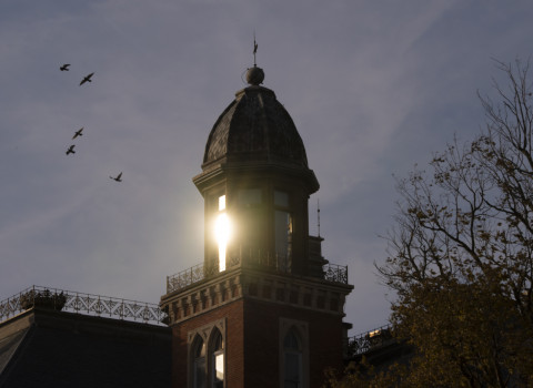 Birds flying over a sunrise-lit East College