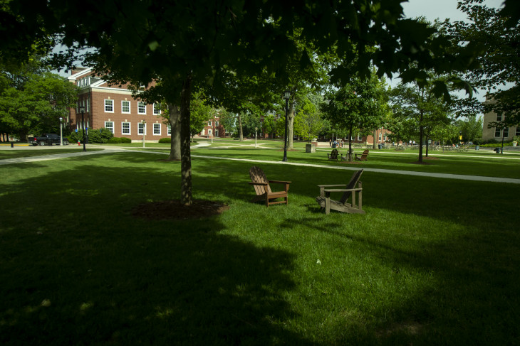 Leafy campus with shadows