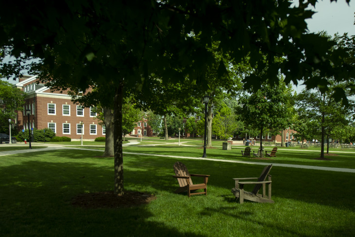 Grassy campus shot