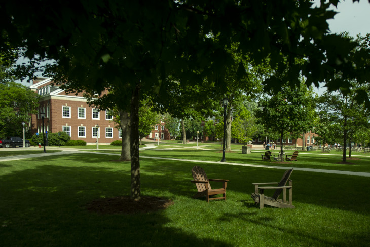 Leafy and shadowy campus shot