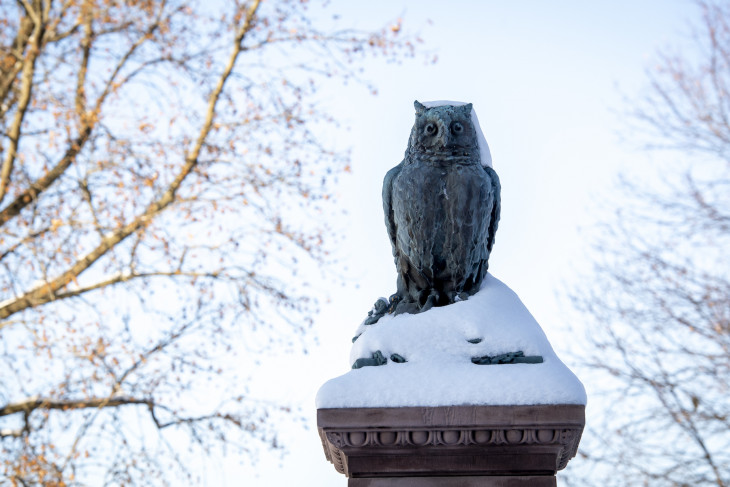 snowy owl statue
