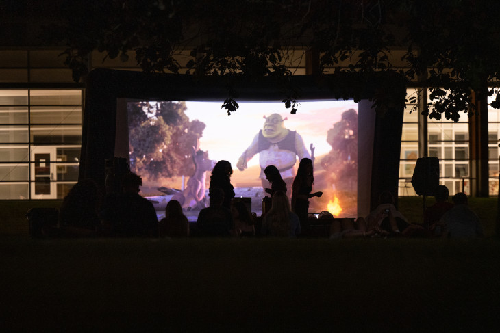 shrek movie in the park