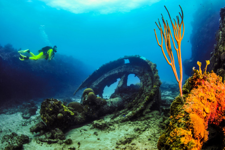 Amy Warren near a shipwreck