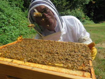 Bees and a Beekeeper