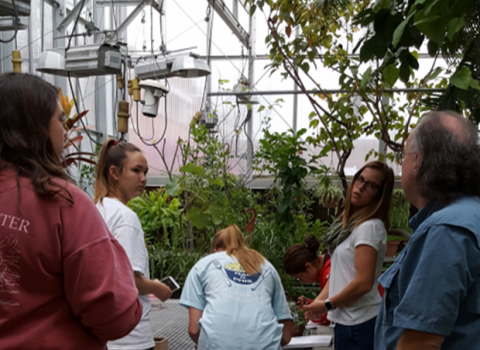 Students having a discussion in the Olin Greenhouse