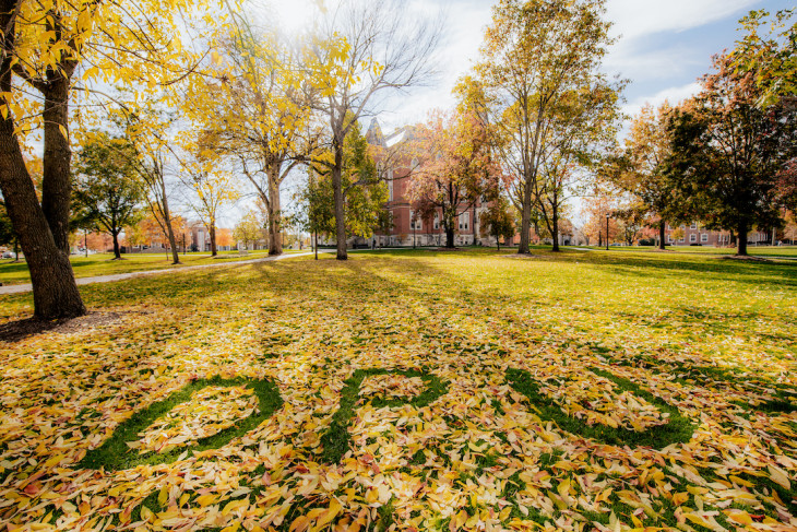 DePauw University campus shot in the Fall. Spelled out in leaves are the letters DPU for DePauw University.