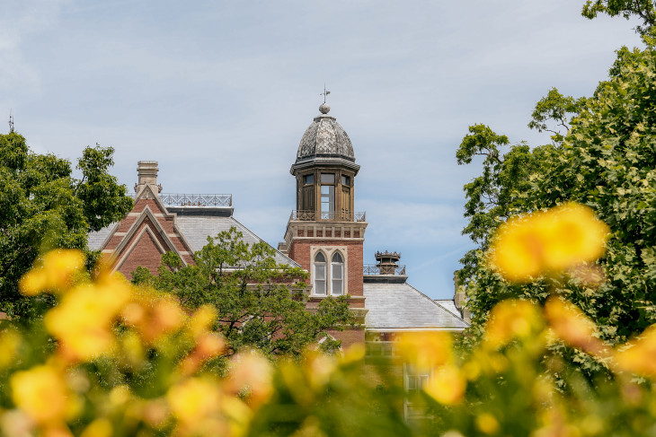 Yellow flowers in the foreground, East College in the back