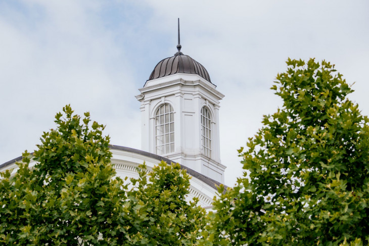 Clock tower visible behind trees