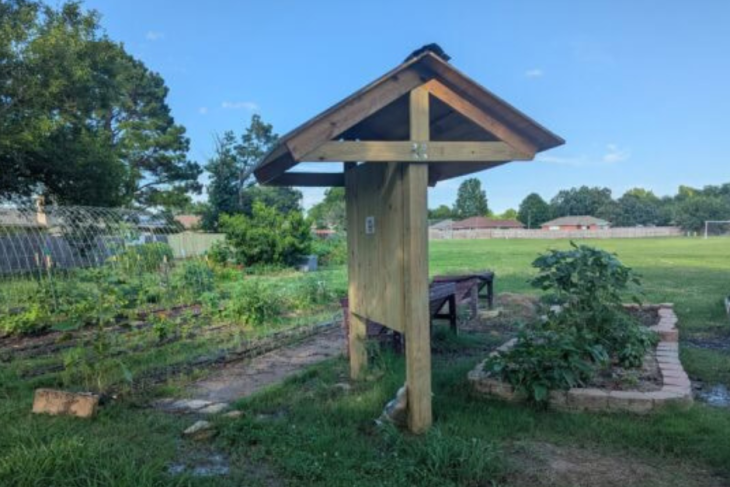 A local community garden