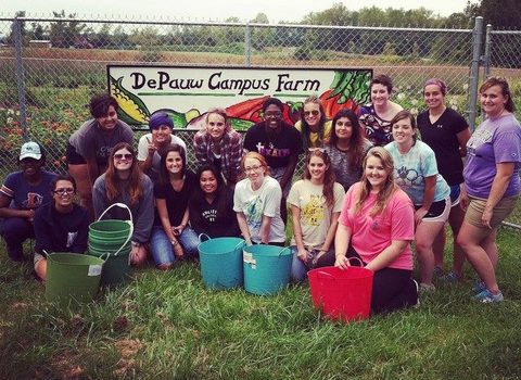 Students at the DePauw Campus Farm