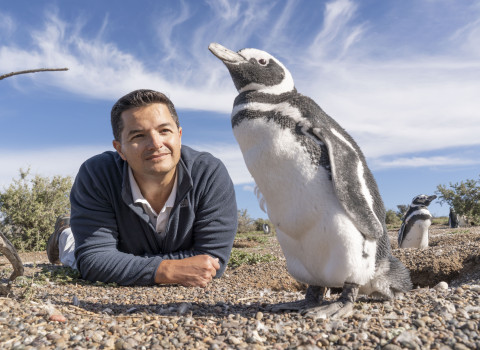 Dr. Borboroglu with penguins