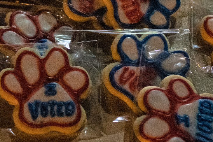 Pawprint cookies that say "I Voted"