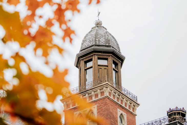 Clock tower visible behind golden leaves