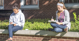 Students studying outside