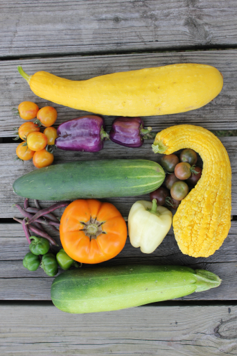 Vegetables grown at the Ullem Farm