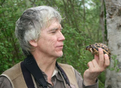 Russel Mittermeier examining a turtle