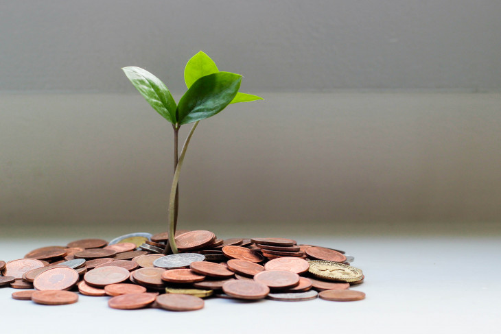 Money growing