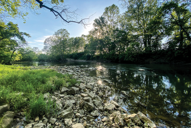 Stream with trees and sunset in DePauw Nature Park