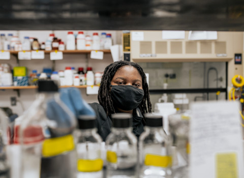 Student in a research lab looking behind a row of chemicals