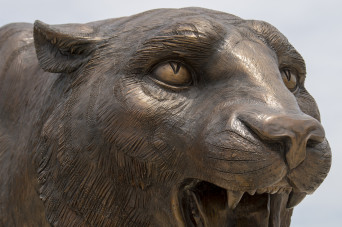 Tiger statue at DePauw University