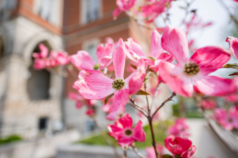 Closeup of flowers with East College in the background
