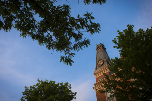 Tree branches with East College in the background