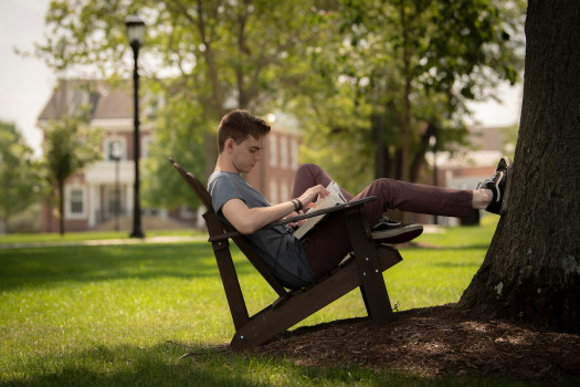 Student studying outside under a tree