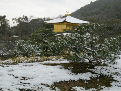 There is a golden temple called Kinkakuji in Kyoto, Japan. Around it are snow.