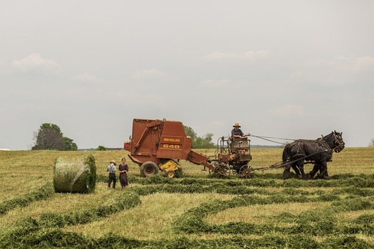 Farming with machinery and horses in a traditional rural community.  