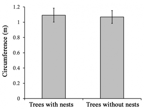 Circumference graph of trees with and without nests