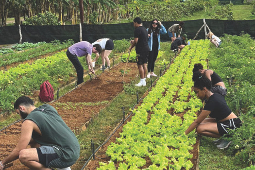 Students help with a community garden